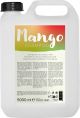 Dusy Mango Shampoo 5L